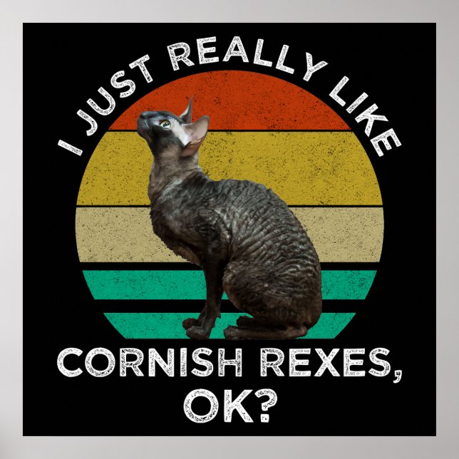 Affiche J'aime vraiment beaucoup les Cornish Rex, OK ? (Devant)
