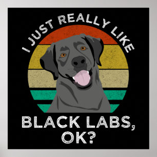 Affiche J'Aime Vraiment Les Black Labs, OK ?