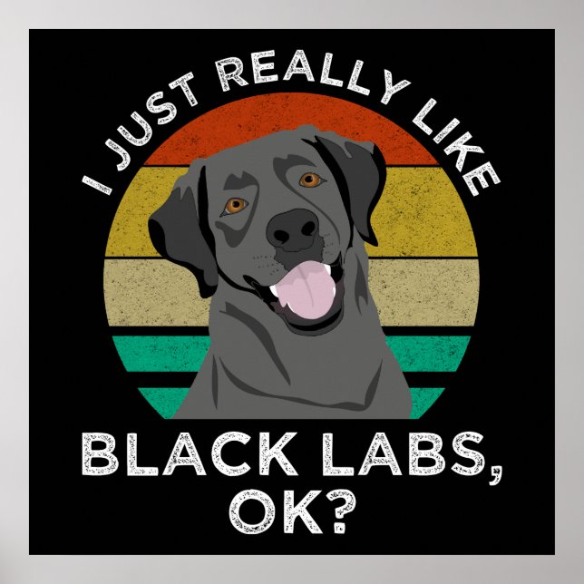 Affiche J'Aime Vraiment Les Black Labs, OK ? (Devant)