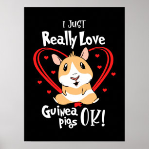 Affiche J'Aime Vraiment Les Cochons De Guinée
