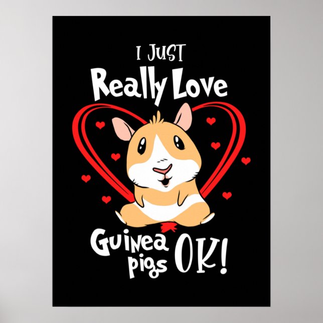 Affiche J'Aime Vraiment Les Cochons De Guinée (Devant)