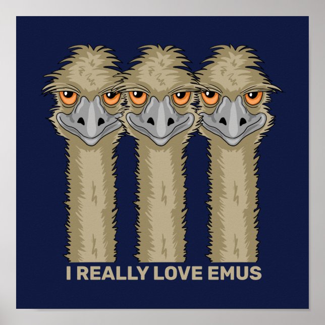 Affiche J'aime vraiment les émeus (Devant)