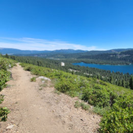 Affiche Jamais ! Peut-être.