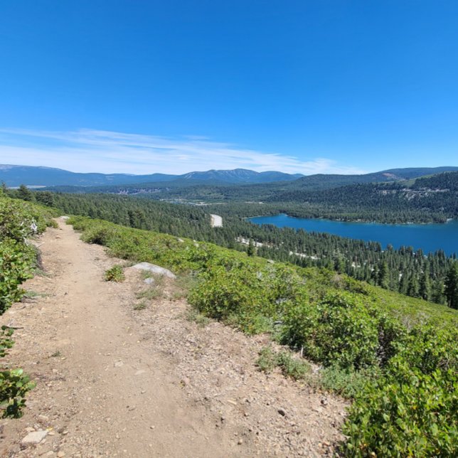Affiche Jamais ! Peut-être. (Créateur téléchargé)
