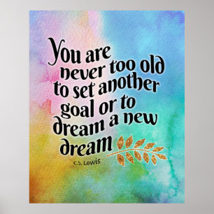 Affiche Jamais trop vieux pour rêver