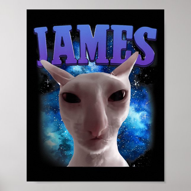Affiche James The Cat Meme Funny Silly Cats Brainrot Meme (Devant)