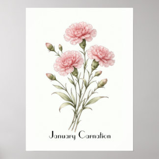 Affiche January Carnation Flowers