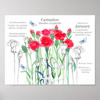Affiche Janvier Anniversaire Oeillets Mois de naissance Fl
