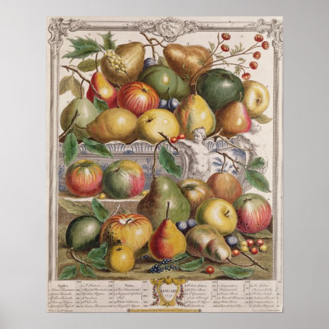Affiche Janvier, "Douze mois de fruits" (Devant)