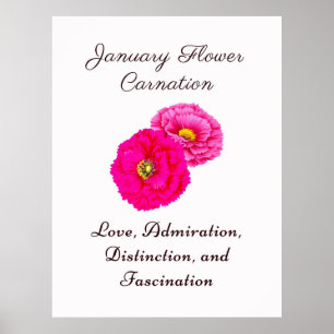 Affiche Janvier Mois de naissance Fleur Carnation Élégante