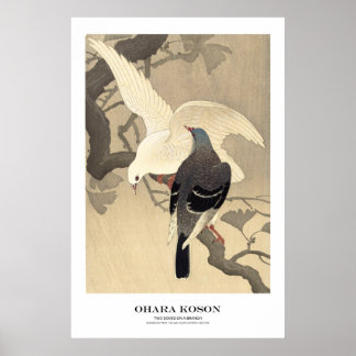 Affiche Japanese Art Print - Ohara Koson - Doves
