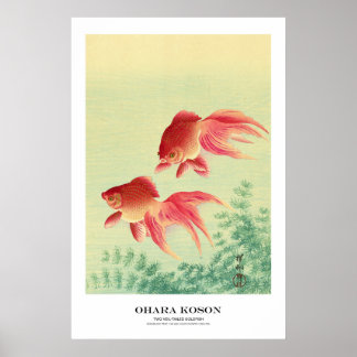 Affiche Japanese Art Print - Ohara Koson - Goldfish