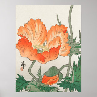 Affiche Japanese painting by ohara koson,vintage,小原古邨の日本画