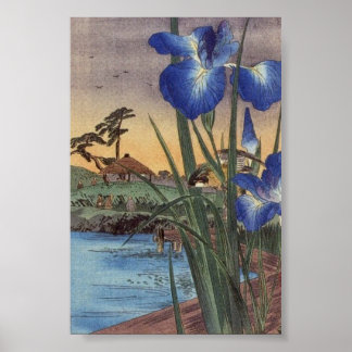 Affiche Japonais vintage ukiyo-e iris bleu