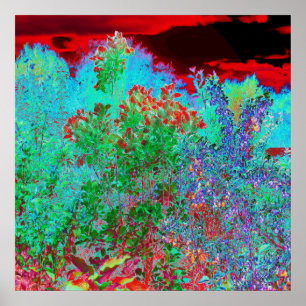 Affiche Jardin Abstrait coloré avec coucher de soleil de C