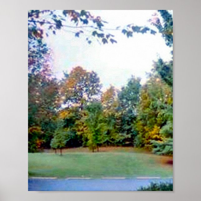 Affiche Jardin arrière (Devant)