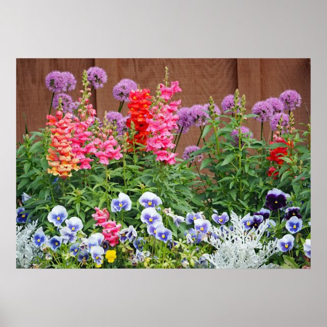 Affiche Jardin aux fleurs colorées Photo (Devant)
