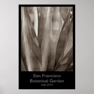 Affiche Jardin botanique de San Francisco #1