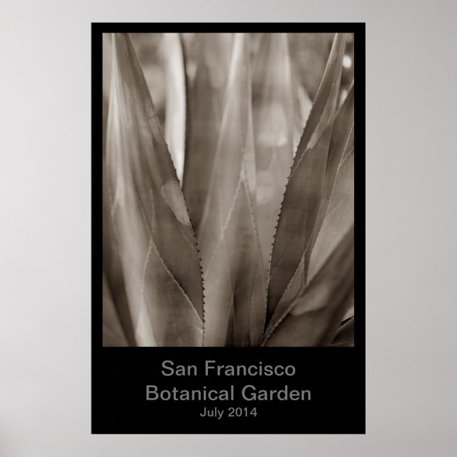 Affiche Jardin botanique de San Francisco #1 (Devant)