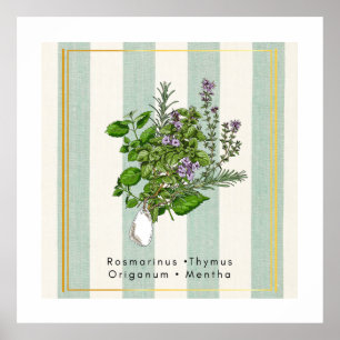 Affiche Jardin Botanique d'Herbes - Mélange de Cuisine à l