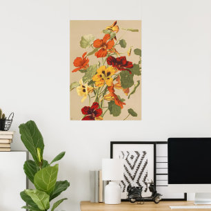 Affiche Jardin Botanique Floral de Capucine Rétro