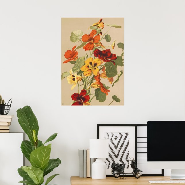Affiche Jardin Botanique Floral de Capucine Rétro (Bureau à domicile)