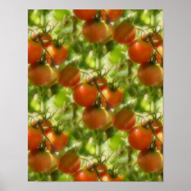 Affiche Jardin Cherry Tomates Motif de la nature (Devant)