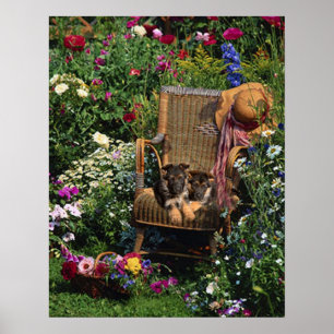 Affiche Jardin d'affiche de chiots de berger allemand
