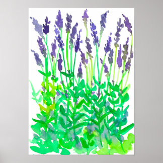 Affiche Jardin de fleurs de couleur aquarelle
