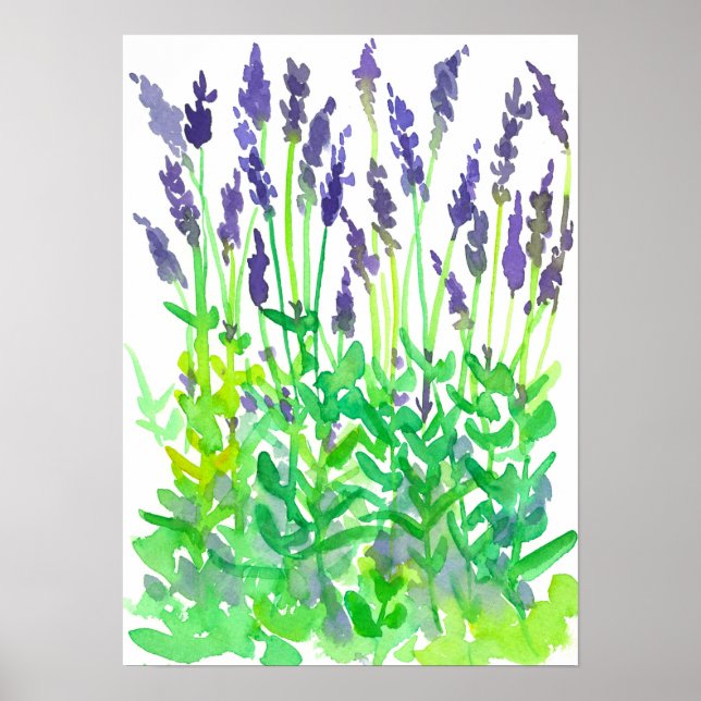 Affiche Jardin de fleurs de couleur aquarelle (Devant)