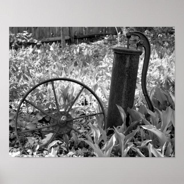 Affiche Jardin de fleurs de roue de pompe rouillée noir et (Devant)