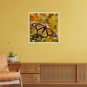Affiche Jardin de papillons monarques Art