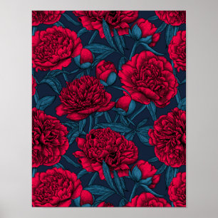 Affiche Jardin de pivoine rouge sur bleu foncé