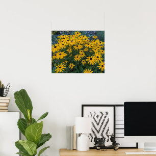 Affiche Jardin de Rudbeckia à fleurs jaunes