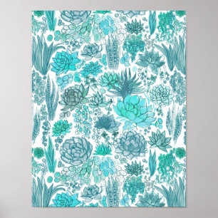 Affiche Jardin de succulentes