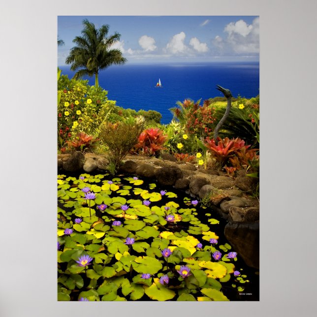 Affiche Jardin d'Eden - Maui - Hawaii (Devant)