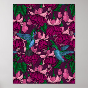 Affiche Jardin des colibris