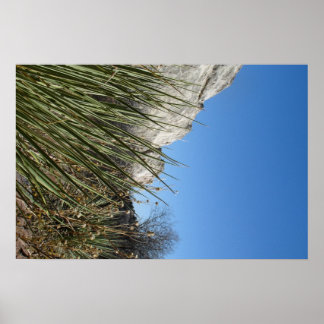 Affiche Jardin des Dieux