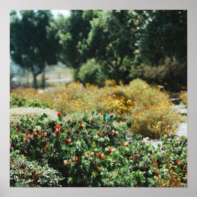 Affiche Jardin dispersé (Devant)