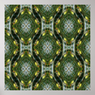 Affiche Jardin en dentelle de Madrone.......