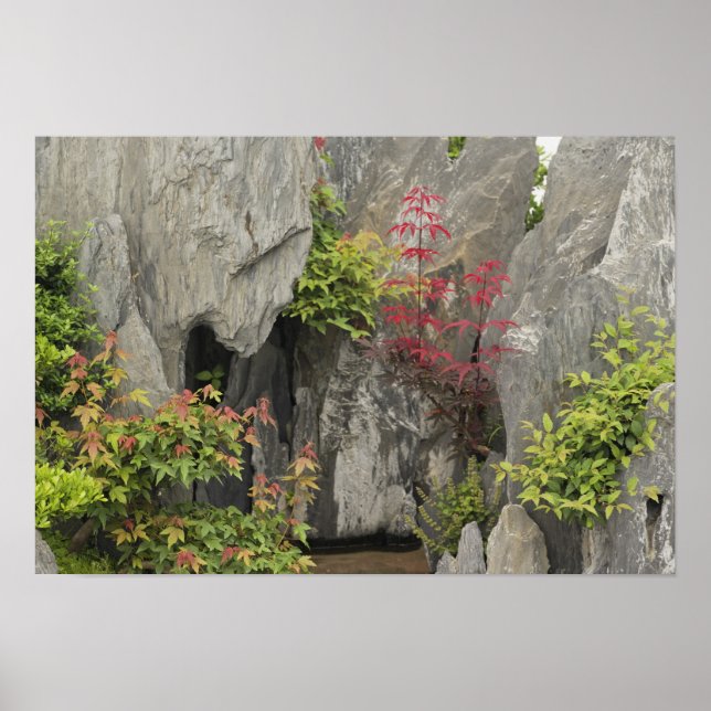 Affiche Jardin familial de Bao, Huangshan, Chine. (Devant)