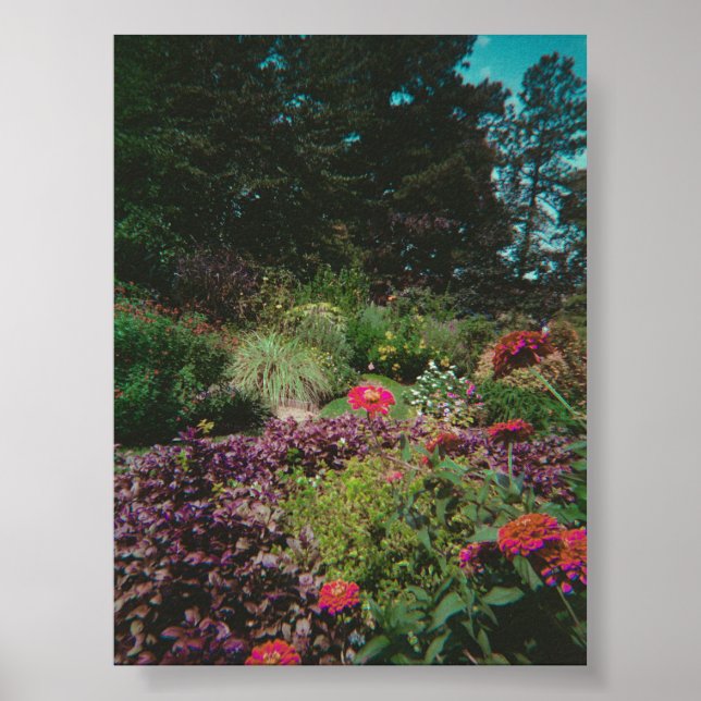 Affiche Jardin Fleur sauvage vintage (Devant)