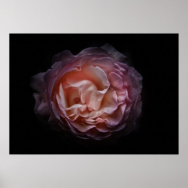 Affiche Jardin Fleurs No 106 Version couleur (Devant)