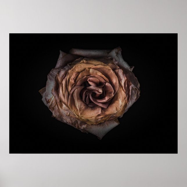 Affiche Jardin Fleurs No 139 Version couleur (Devant)