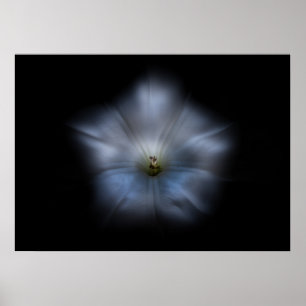 Affiche Jardin Fleurs No 24 Version Couleur Flow