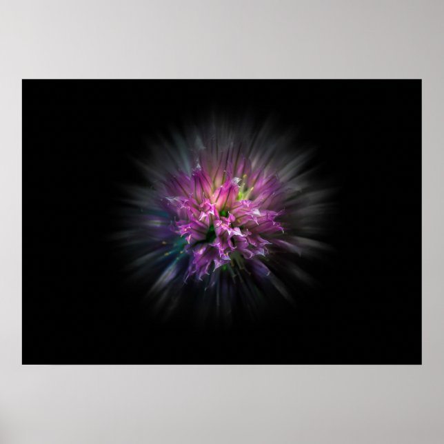 Affiche Jardin Fleurs No 53 Version de flux couleur (Devant)