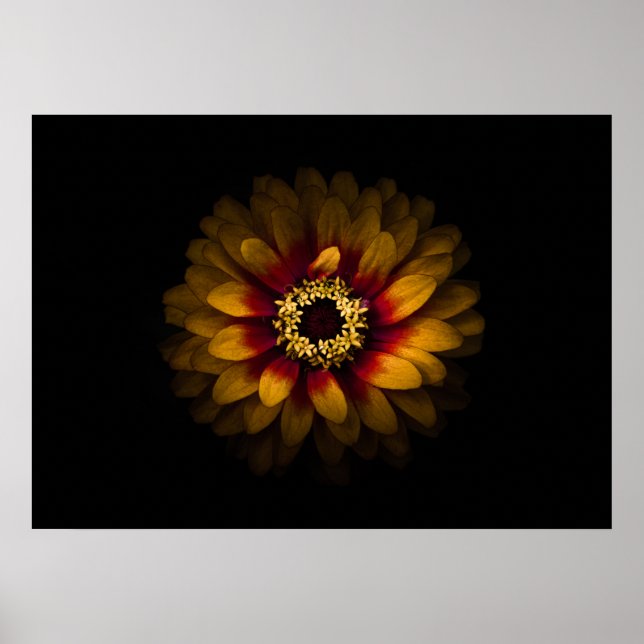 Affiche Jardin Fleurs No 69 Version couleur (Devant)