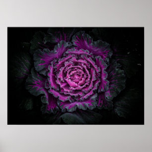 Affiche Jardin Fleurs No 99 Version couleur