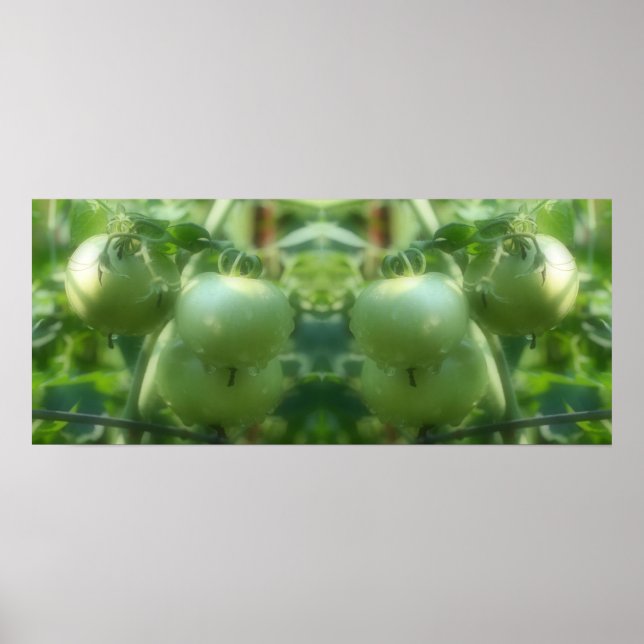 Affiche Jardin Green Tomates Nature Miroir Abstrait (Devant)