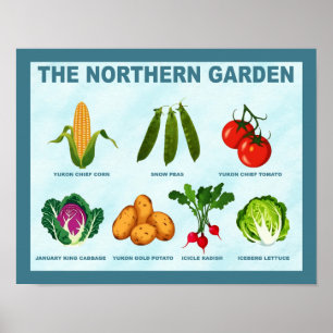Affiche Jardin potager du Nord